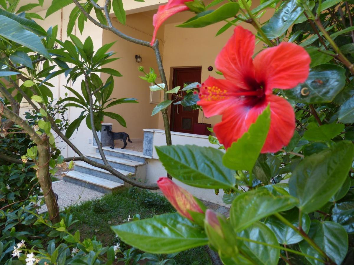 Avgi Garden House Chania With Private Entrance Chrissi Akti Chania Exterior foto