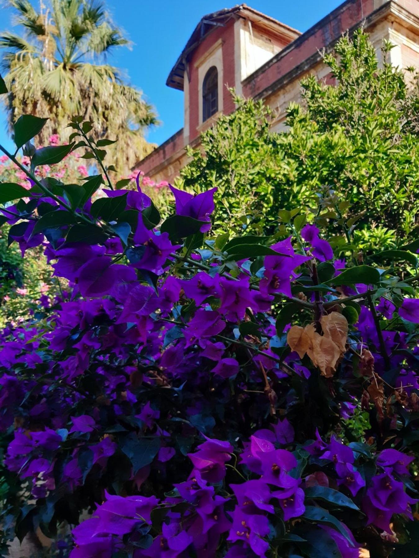 Avgi Garden House Chania With Private Entrance Chrissi Akti Chania Exterior foto