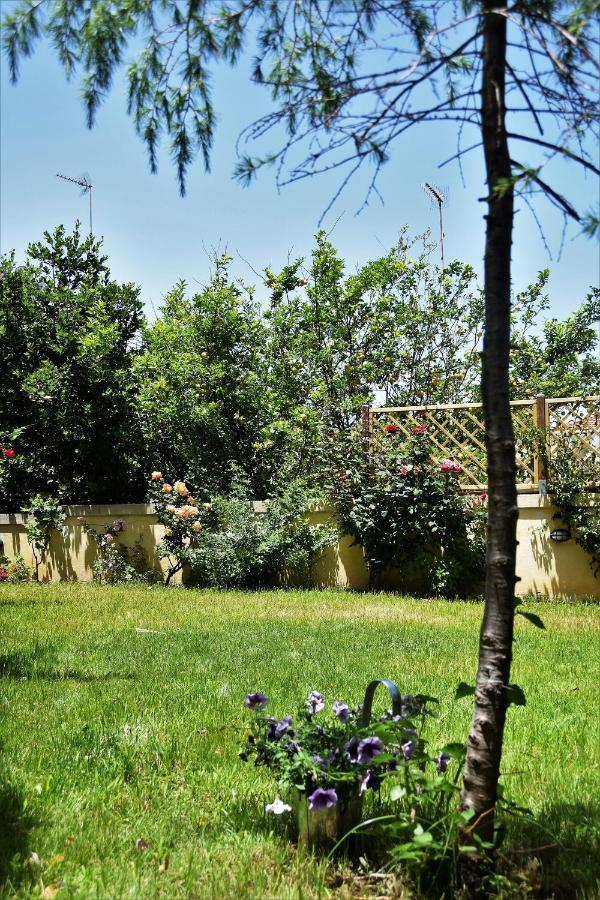 Avgi Garden House Chania With Private Entrance Chrissi Akti Chania Exterior foto